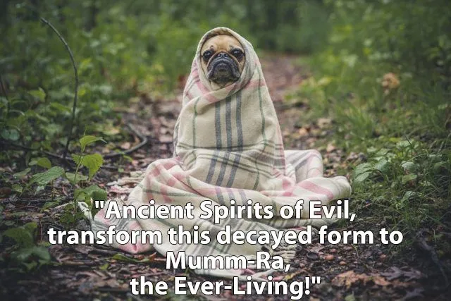 mumra - Imgur.jpg