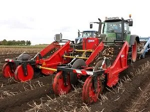 Potato Harvesters.jpg