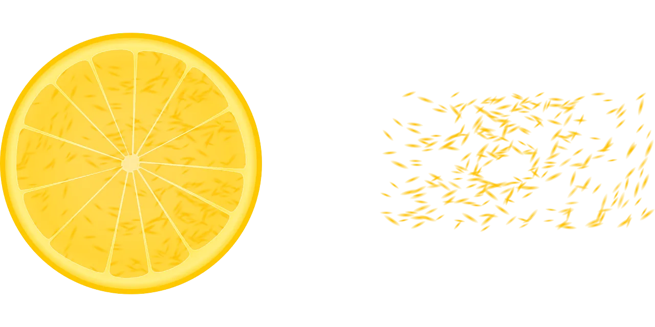 lemon-148119_1280.png