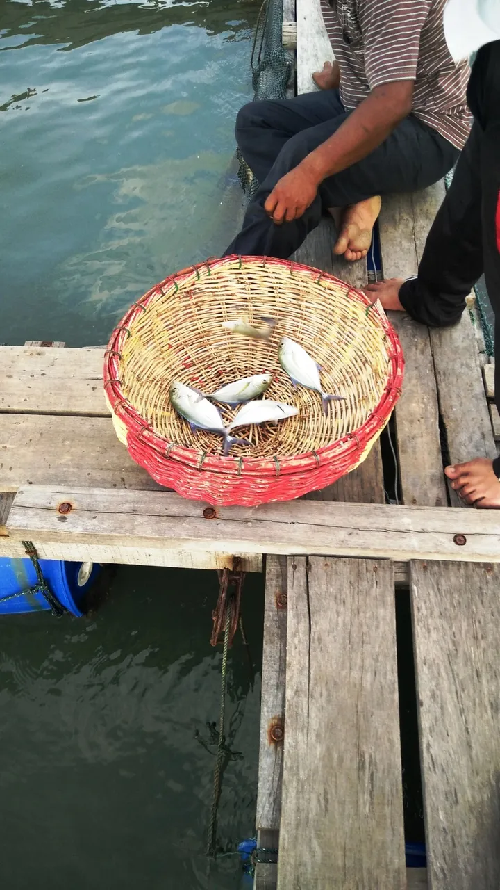 IMG20160217182708.jpg