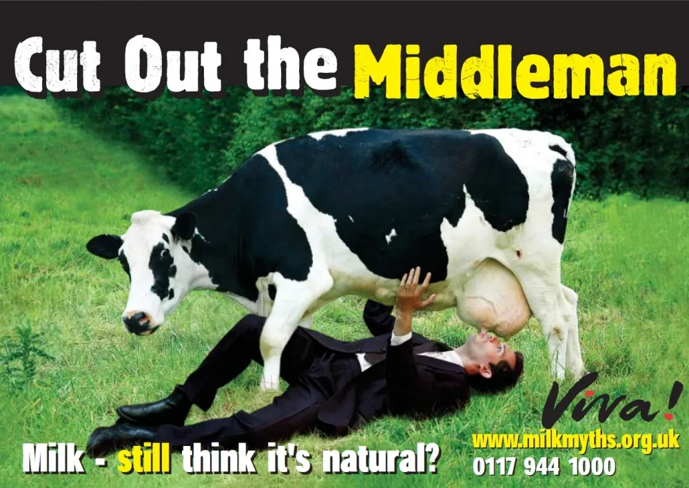 middleman-artwork.jpg