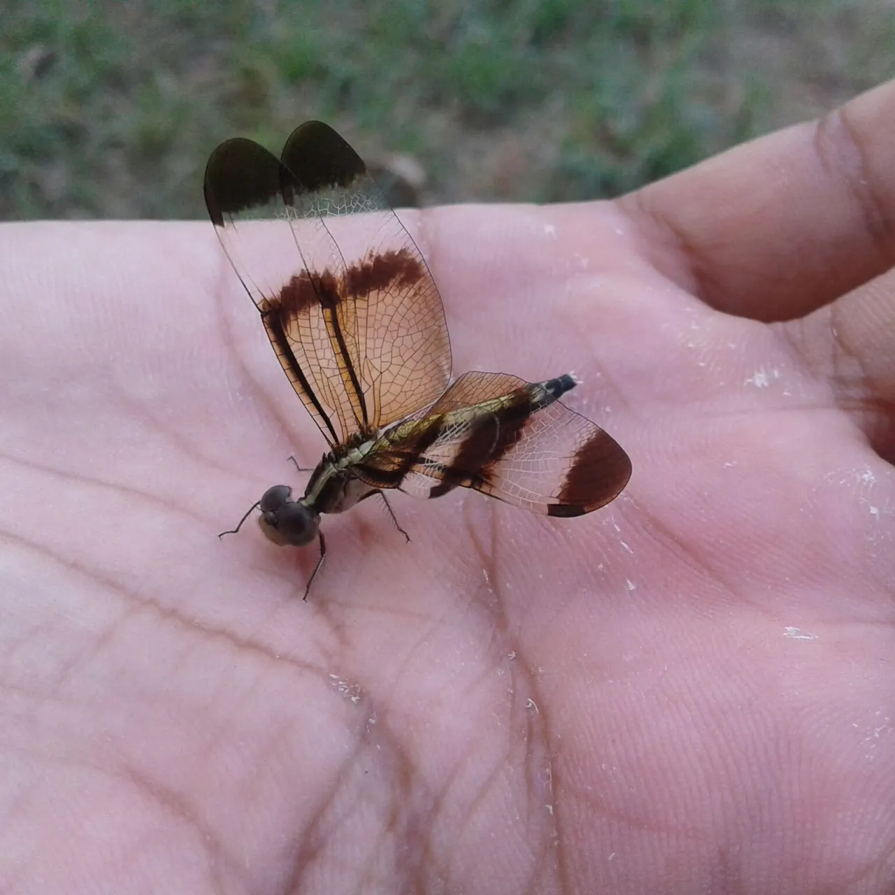 20171004_152905-1.jpg