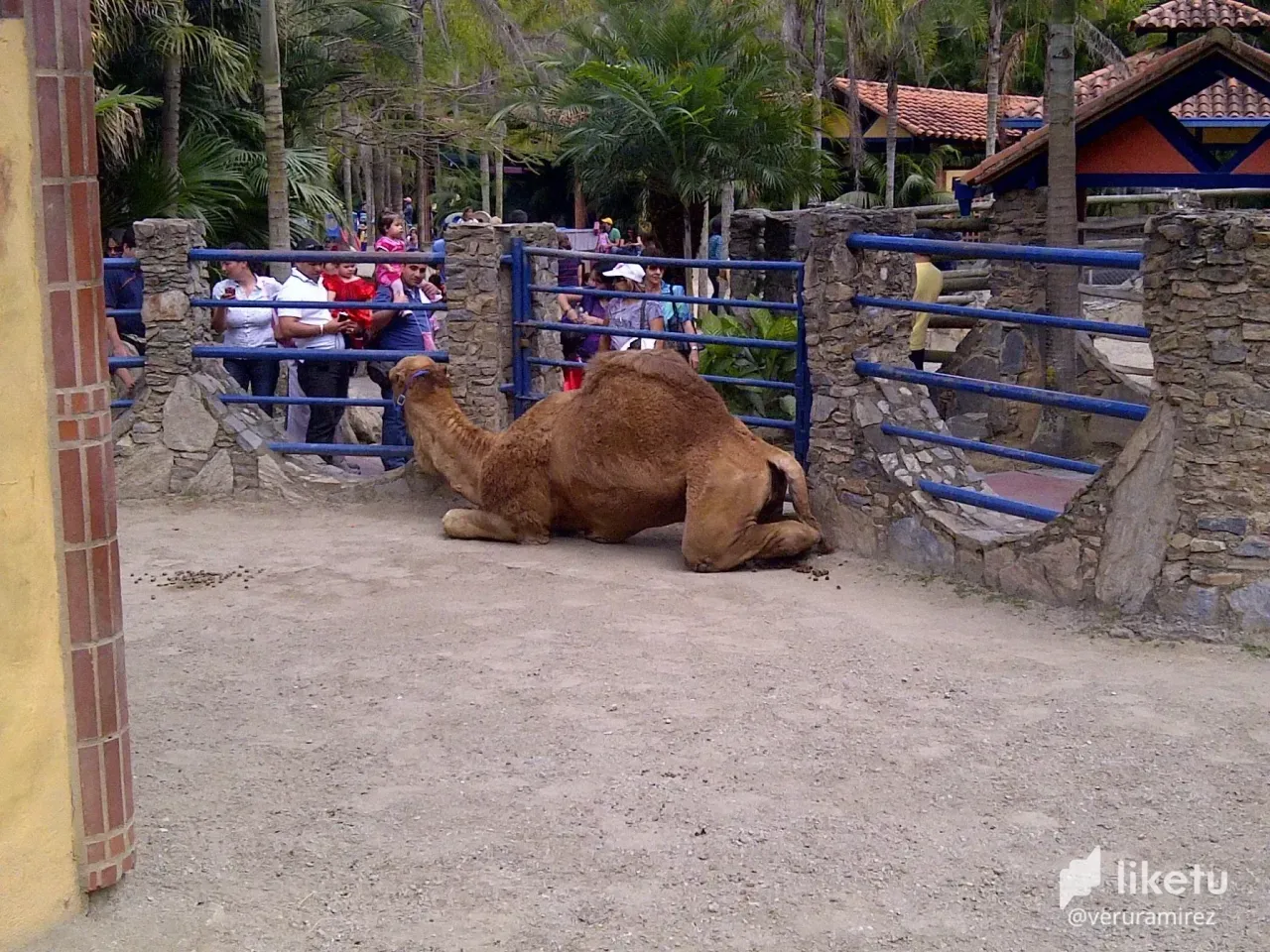 cl976ntil01wl0okc1b3vdimr_Viaje_para_Caracas_en_Carnavales_2012_601.webp