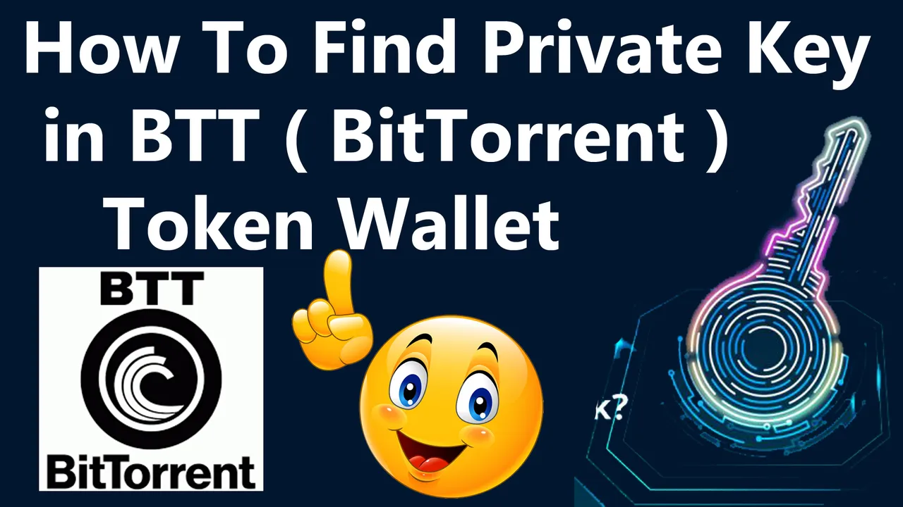 How To Find Private Key in BTT ( BitTorrent ) Token Wallet by Crypto Wallets Info.jpg