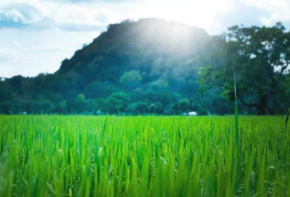 green