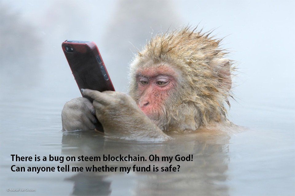 share-with-dlike.jpg