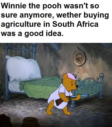 Dumb old bear