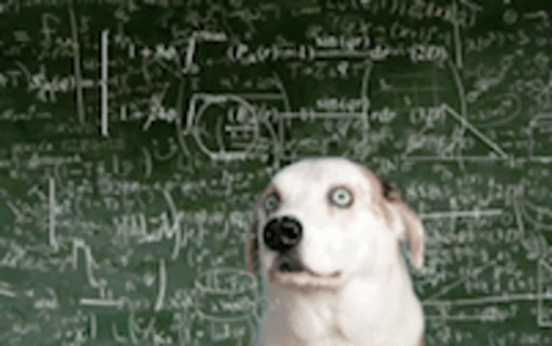 untitled.gif
