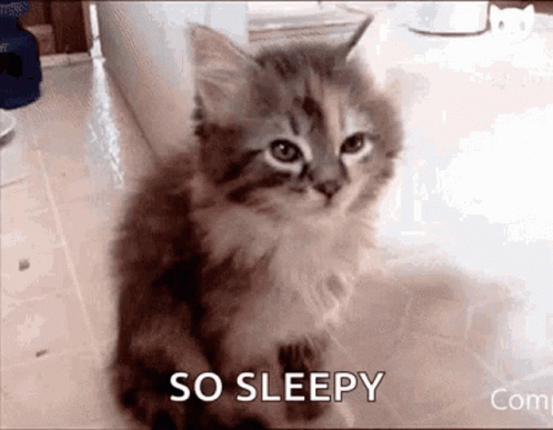 untitled.gif