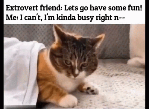 untitled.gif