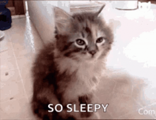 untitled.gif
