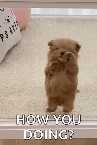 untitled.gif