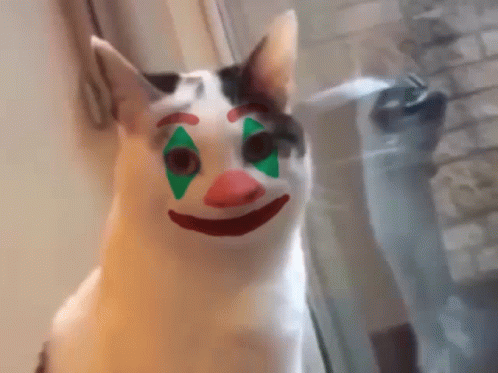 untitled.gif