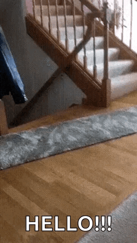 untitled.gif