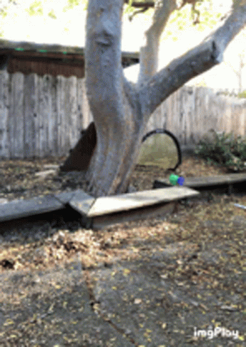 untitled.gif
