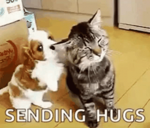 untitled.gif
