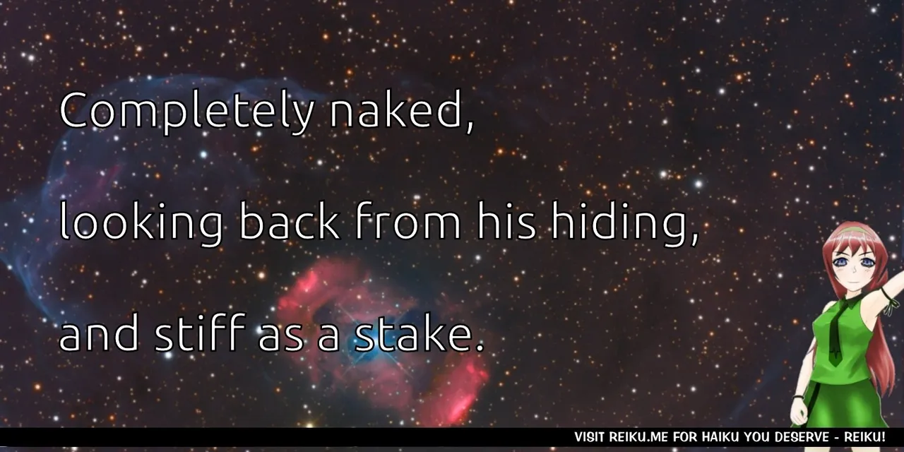 Reiku Haiku