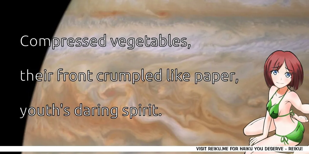 Reiku Haiku