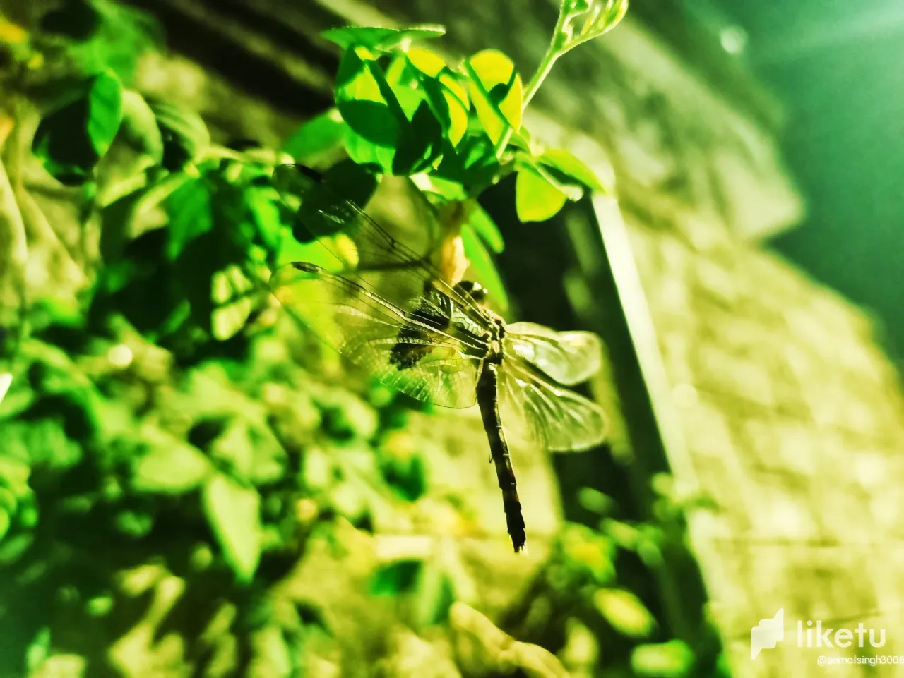 cla5d8jsq000s1to8e7chezrp_IMG_20221106_141833.webp