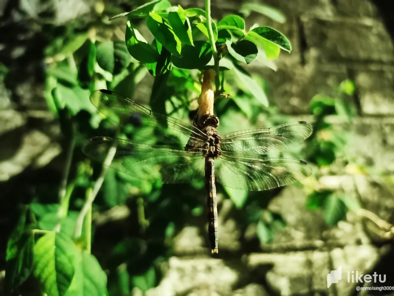 cla5d8lp8000s1lo860xwgpzj_IMG_20221106_141716.webp