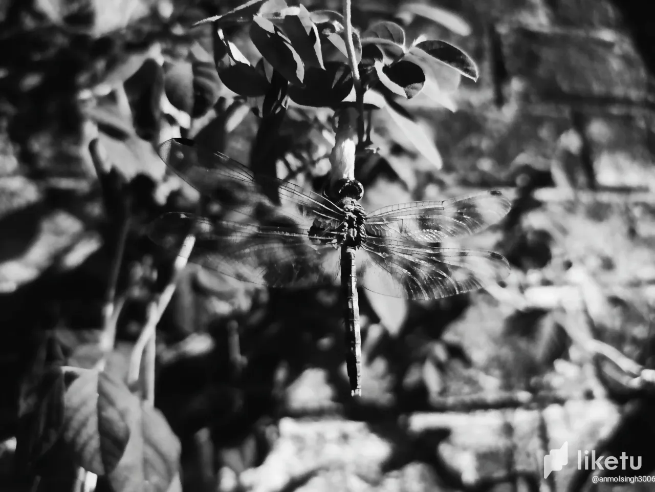 cla5da5qz000y1lo8bw501lbx_IMG_20221106_141802.webp