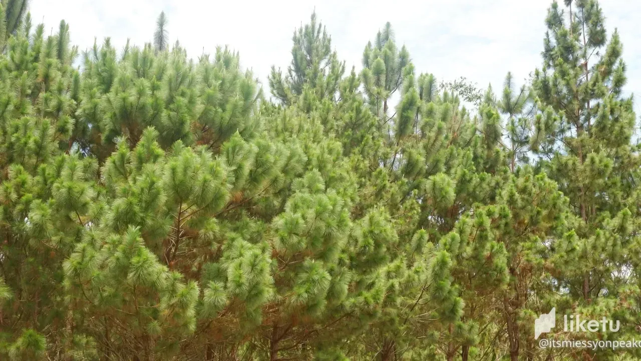 cl9zajhg3028z1tkccumf7r4k_2021_0314_12011500.webp
