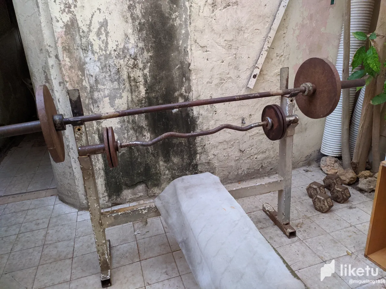 clrej8tfr0ap5ljszgy3h7poe_IMG_20240114_184037.webp