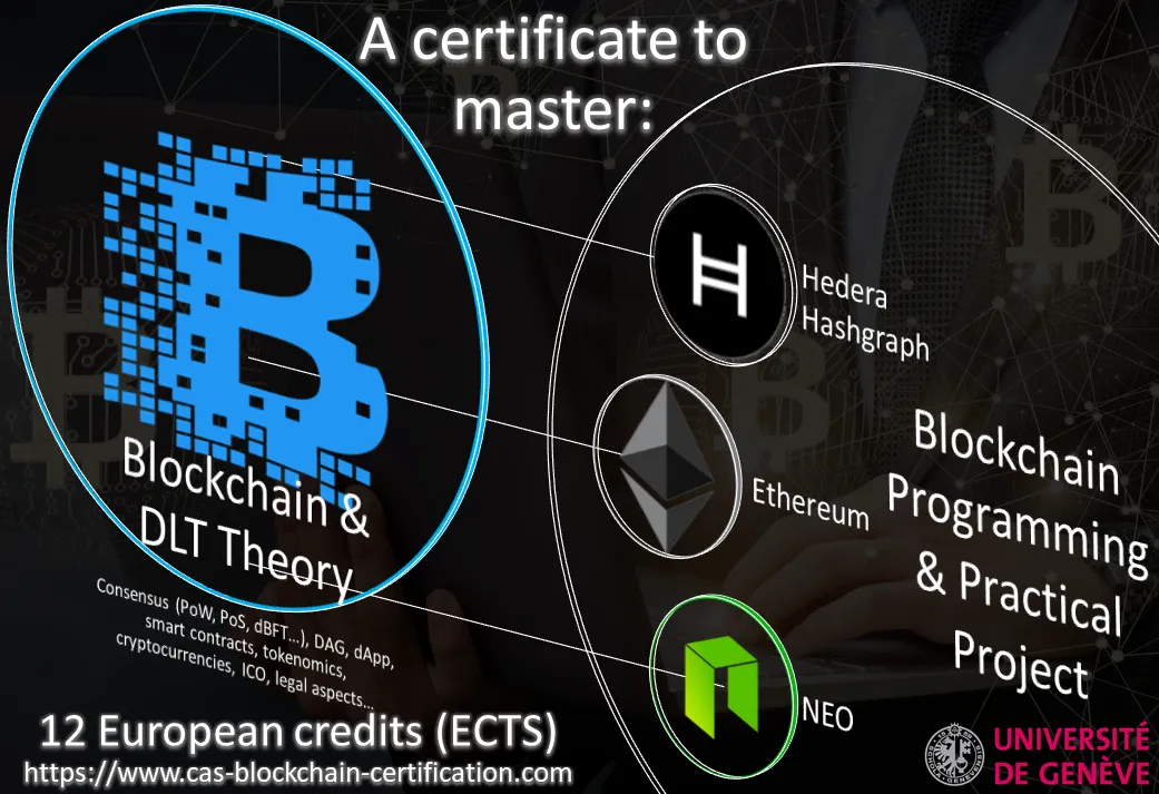 cas-blockchain-dlt-dapp-development-university-of-geneva-overview.png