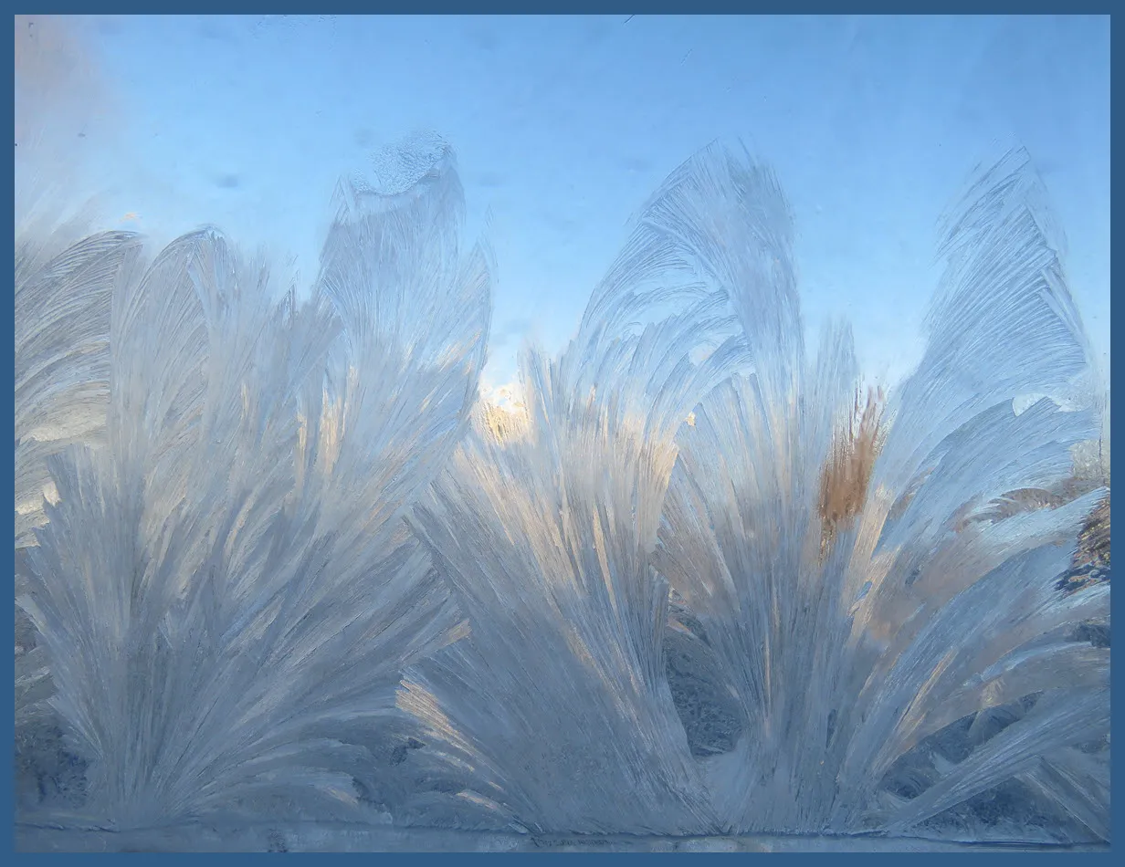streaks of jack frost artistry on the window pane.JPG