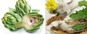 Alcachofa-con-Diente-de-Leon-Te-Ayudan-a-Acelerar-el-Metabolismo..jpg