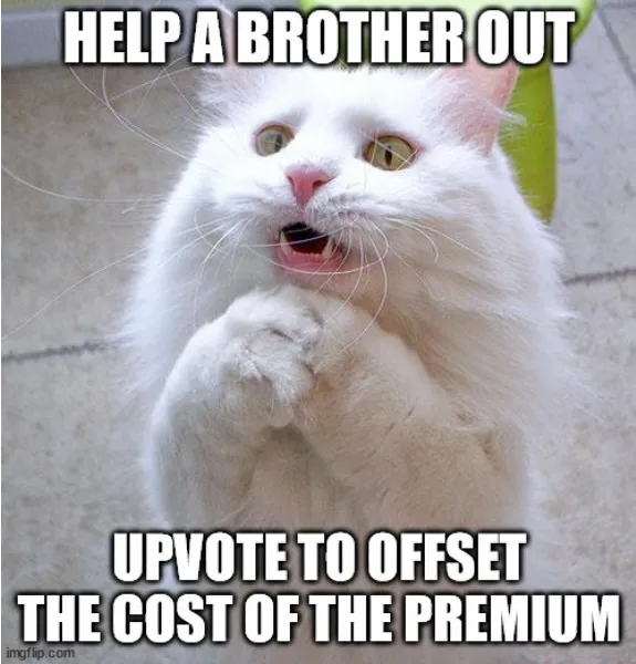 Screenshot_2021-04-21 Begging Cat Meme Generator - Imgflip.png