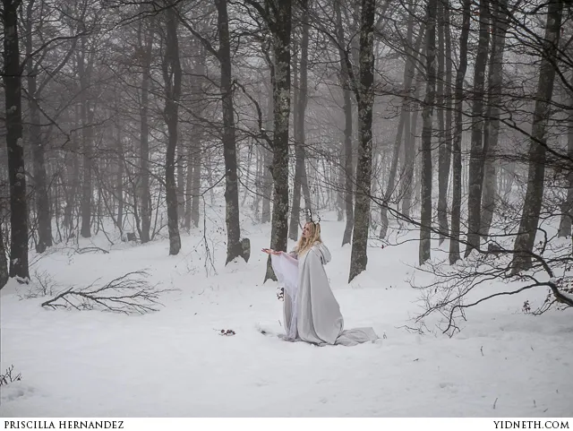 Deer Princess in the Snow - by Priscilla Hernandez (yidneth.com) - 2.jpg
