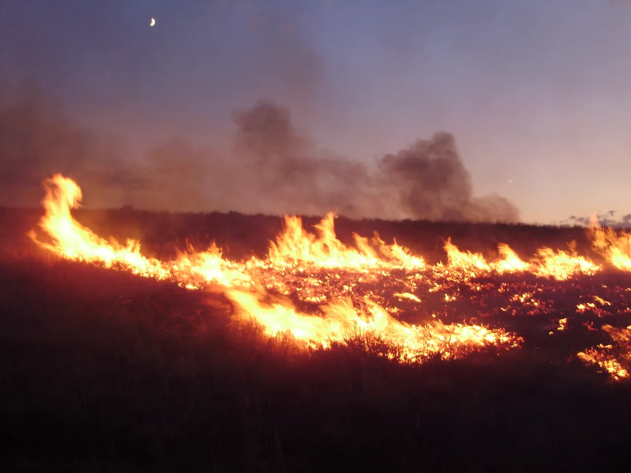 2011-08-04_20_00_00_Susie_Fire_in_the_Adobe_Range_west_of_Elko_Nevada.jpg