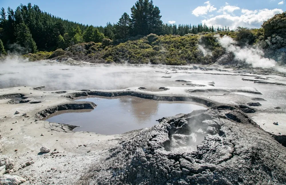 new-zealand-enjoying-a-mud-bath-at-hells-gate-geothermal-park-photo-9.jpg