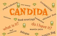 66f26928d22ba2e05e943355b358f111--candida-overgrowth-candida-albicans.jpg