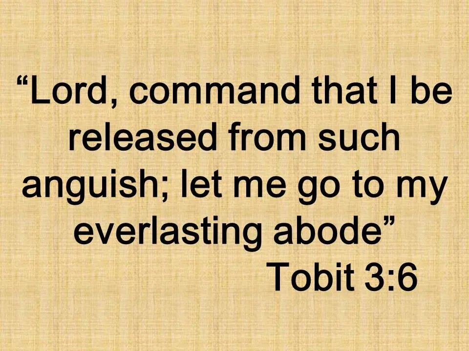 The affliction of Tobit. Lord, command that I be released from such anguish; let me go to my everlasting abode. Tobit 3,6.jpg