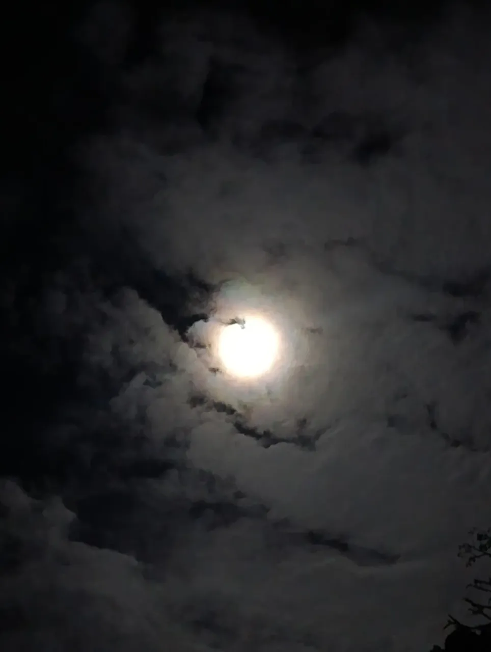 h2coHlMuH8ERxR3j_1000195084.webp