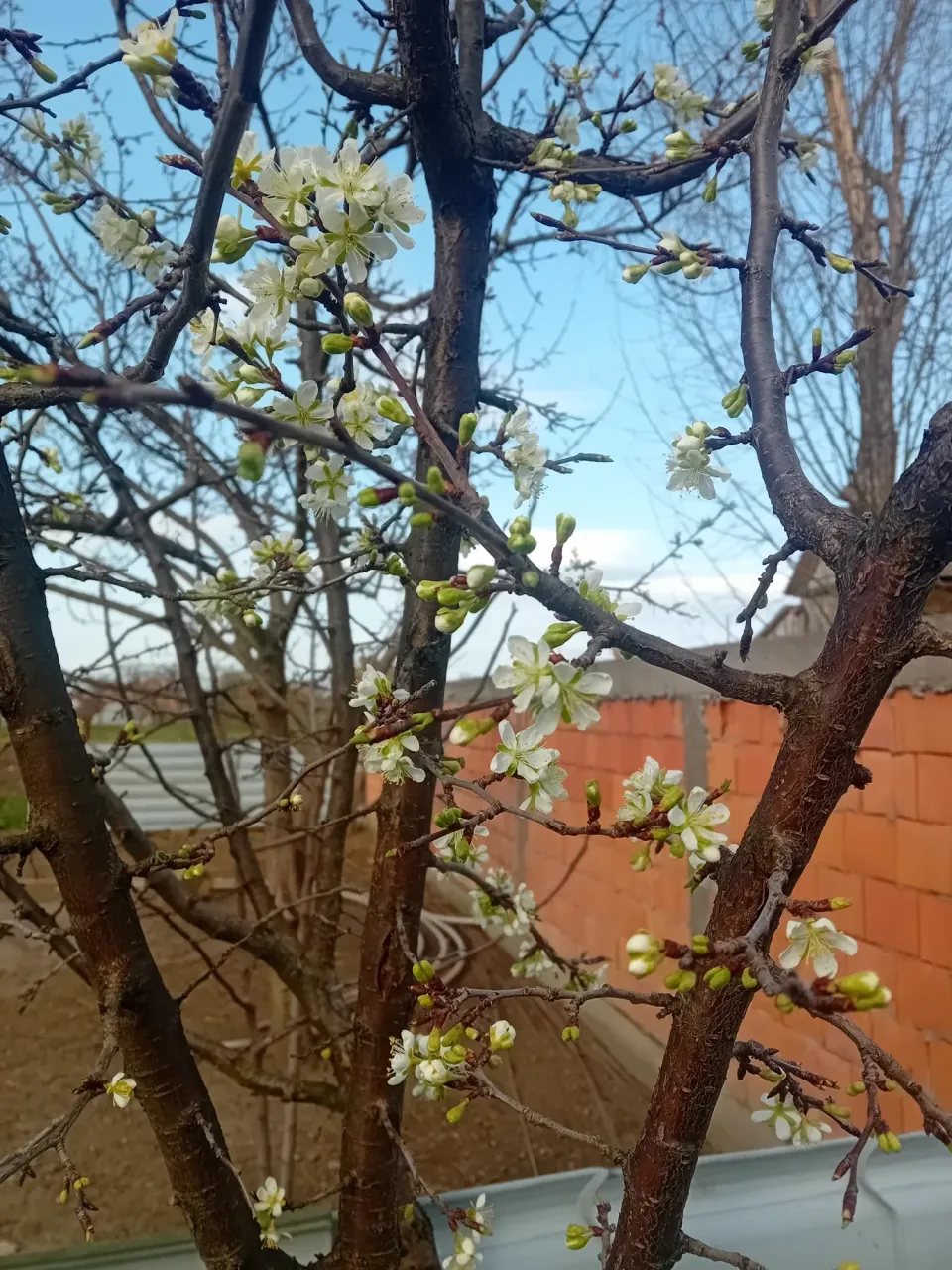 MIRfeVJyyl73eYgC_1000001143.webp