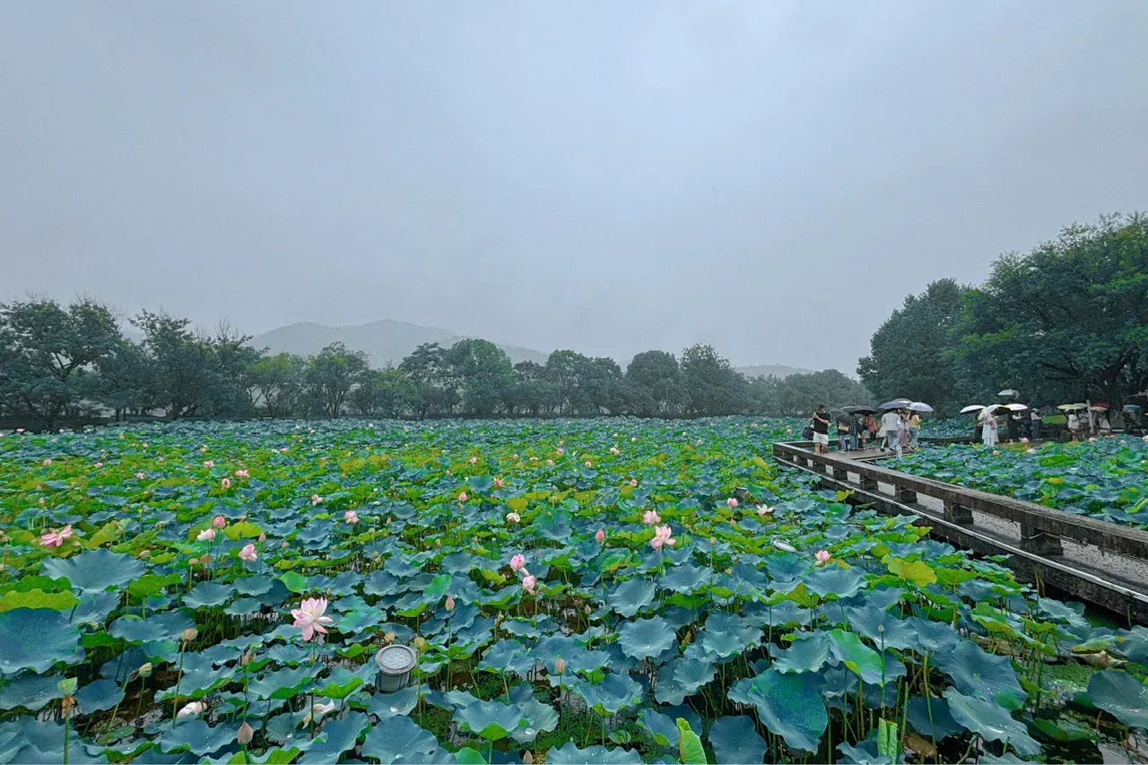 bNkr8DoJLoYpqhZU_IMG_0173.png
