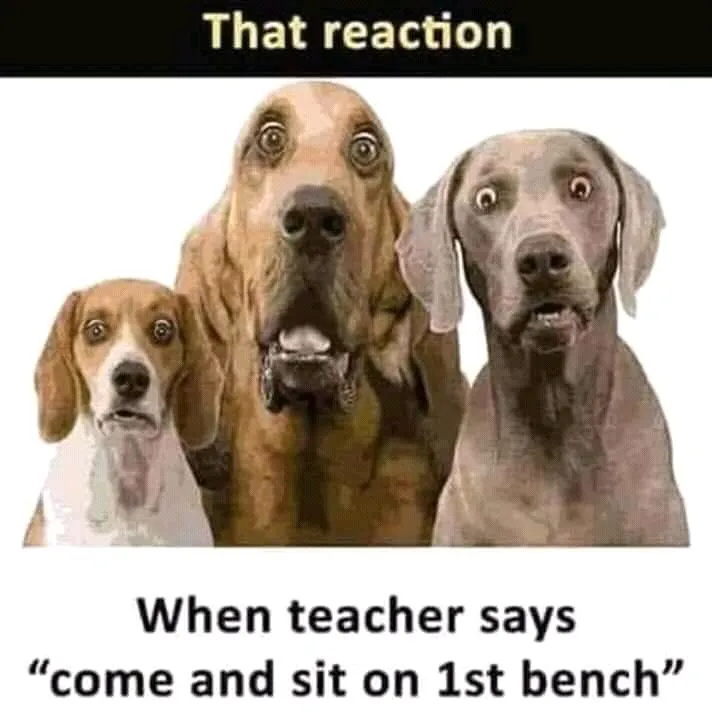 FB_IMG_15532493187336913.jpg