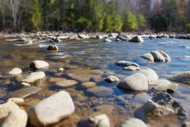 summer-rocks-trees-river.jpg