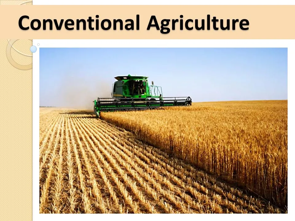 Conventional+Agriculture.jpg