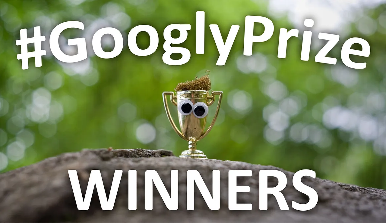 GooglyPrize GooglyEyes TitleImage Vol83