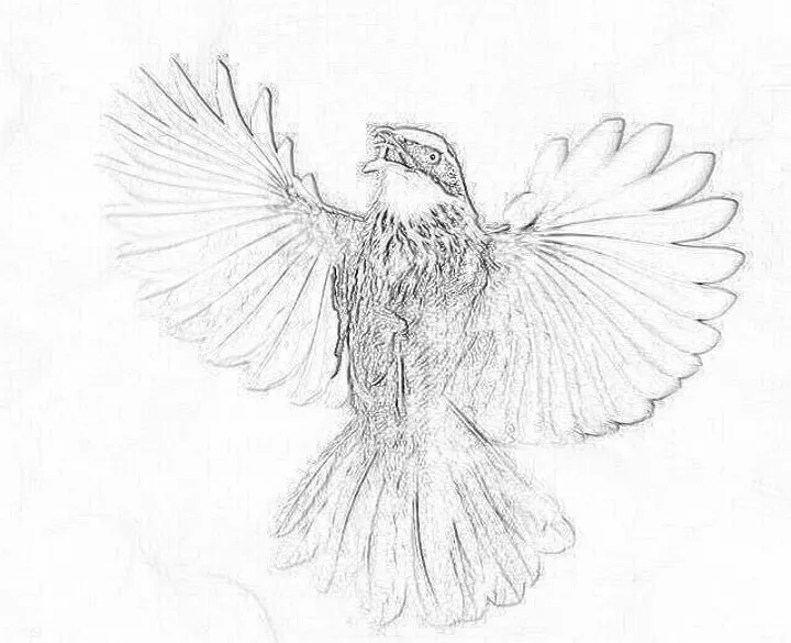 Sketch-7-57-54-5-30-2018.jpg
