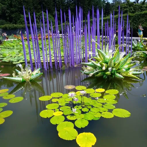 Lily Pond with art.jpg