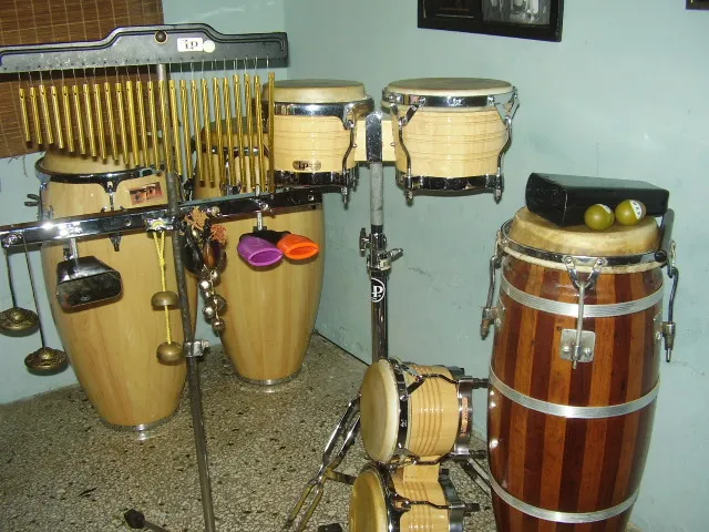 Mis Instrumentos 025.jpg