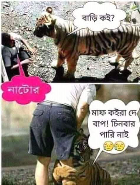 FB_IMG_15375179114463653.jpg