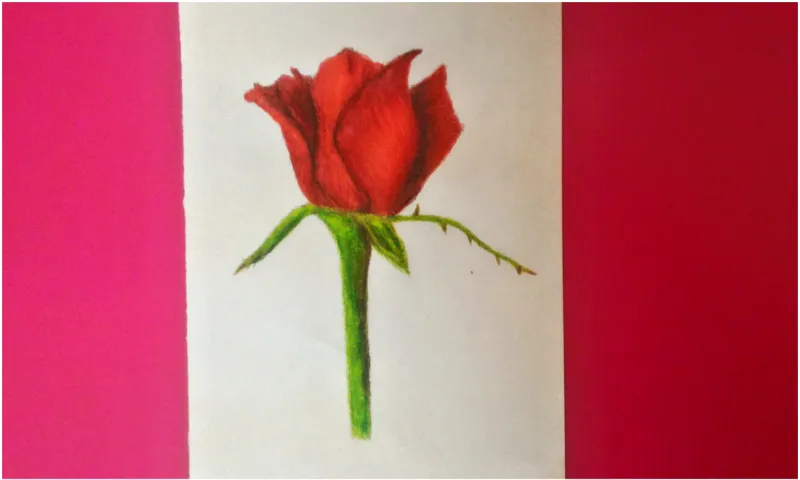 rose thumbnail final.jpg