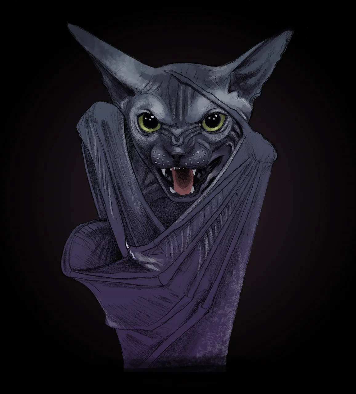 bat cat scan 2 3.jpg