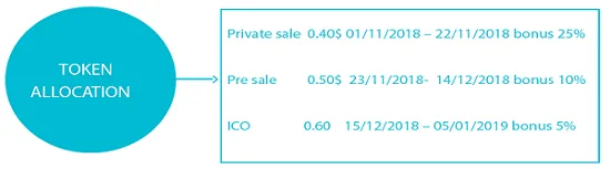 CMC Token Allocation.png